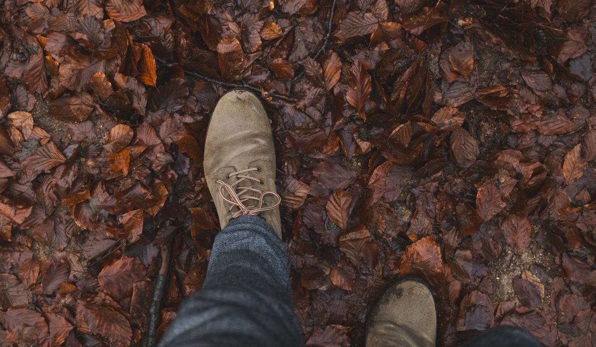 Planning a Circular Walk Around Buttermere Lake